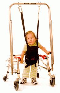 Treadmill harness system SC1 KAYE Products Inc.