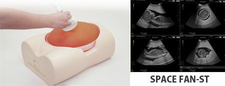 Ultrasound imaging test phantom / fetus SPACEFAN-ST US-? Kyoto Kagaku