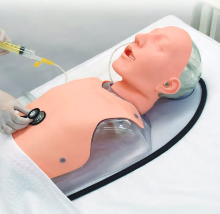 Intubation patient simulator / torso MW8 Kyoto Kagaku