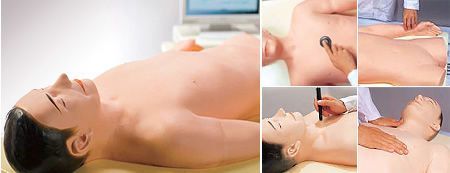 Cardiopulmonary care patient simulator / torso K Kyoto Kagaku