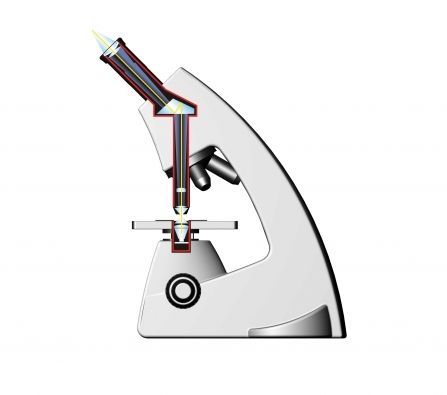 Laboratory microscope / optical / monocular / LED Sigma Labomed