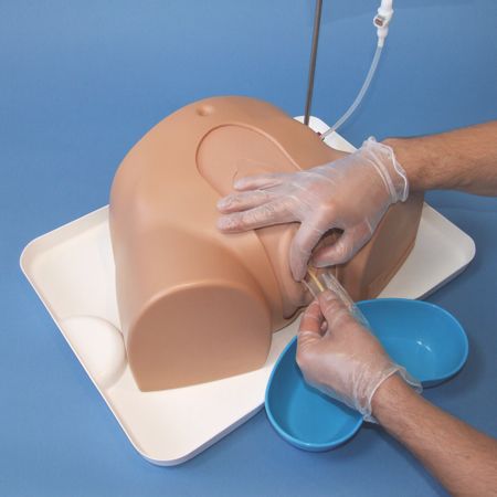 Urinary catheterization simulator / female 60155 Limbs & Things