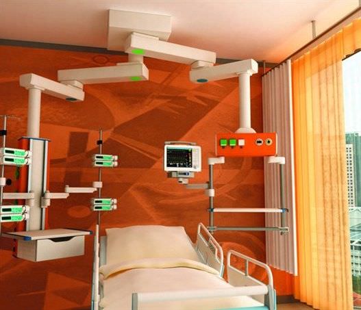 Health Management And Leadership Portal Ceiling Mounted Supply