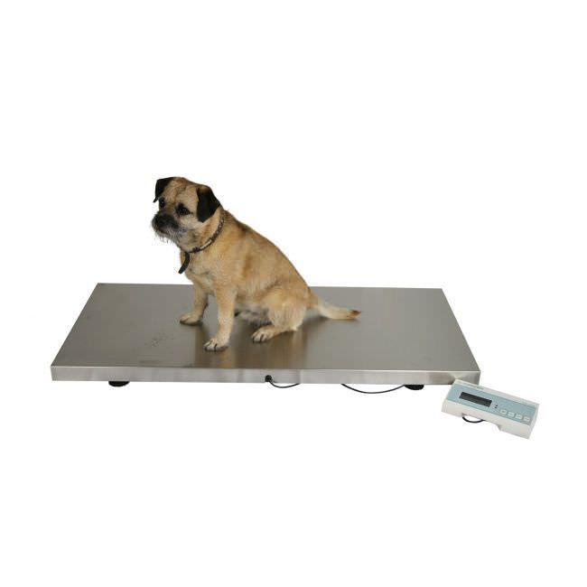 Veterinary platform scale / electronic 250 Kg | VS-250E Marsden Weighing Machine Group