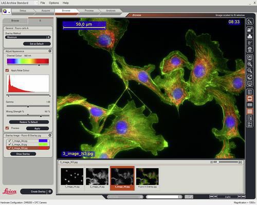 Analysis software / viewing / for archiving / medical LAS Image Overlay Leica Microsystems