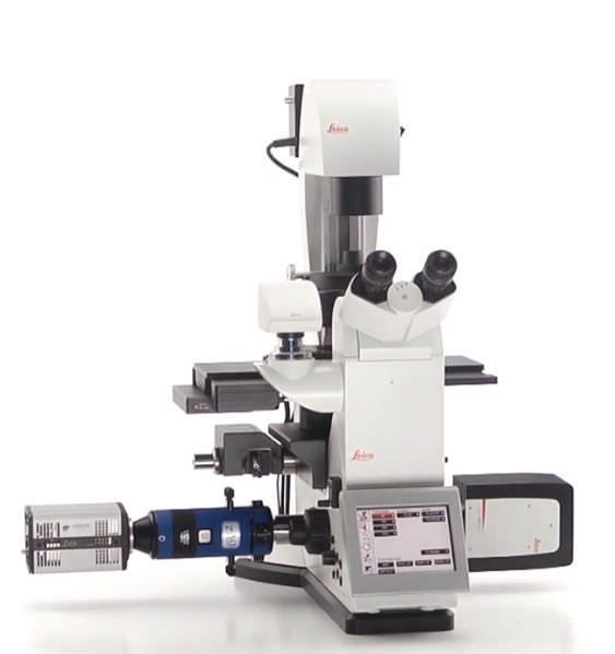 Scientific research microscope / laboratory / digital / fluorescence Leica DMi8 Leica Microsystems