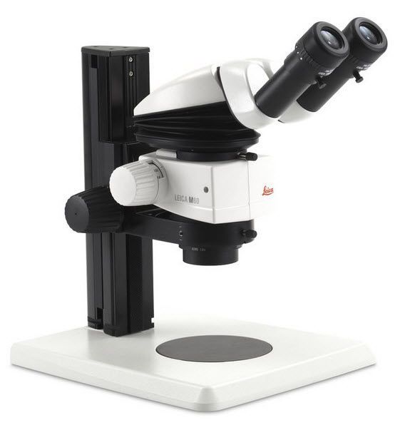 Laboratory stereo microscope / binocular M60 Leica Microsystems