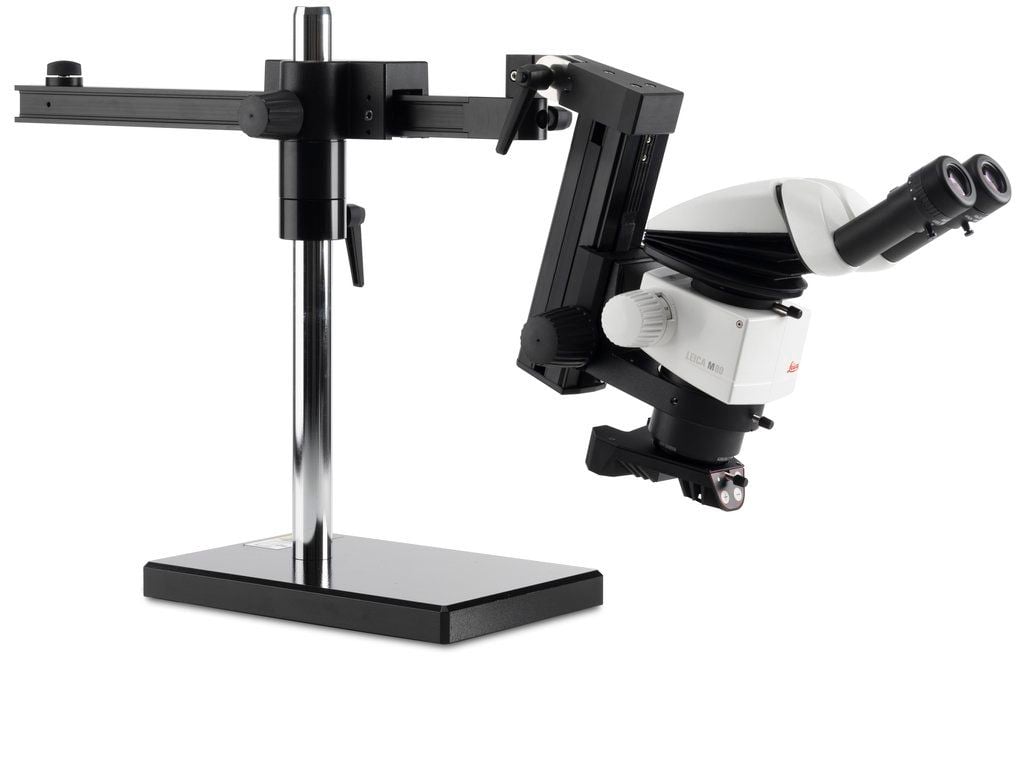 Laboratory stereo microscope / binocular M80 Leica Microsystems