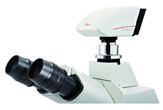 Digital camera / for laboratory microscopes / CCD / cooled 1.4 Mpx | DFC310 FX Leica Microsystems
