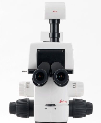 Macroscope motorized Z16 APO A Leica Microsystems