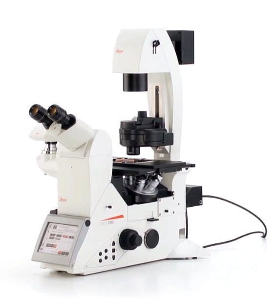 Laboratory microscope / scientific research / optical / trinocular Leica DMi8 Leica Microsystems