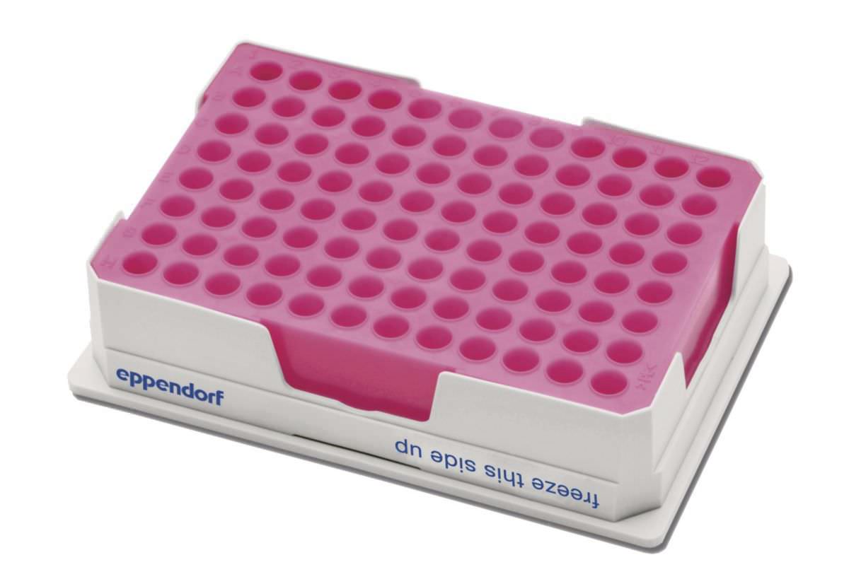 PCR cryoblock with temperature indication Eppendorf AG