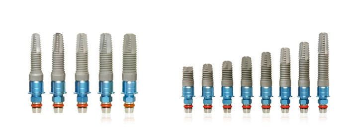 Cylindrical conical dental implant / four-lobe Interna Universal® BTI Biotechnology Institute, S.L.