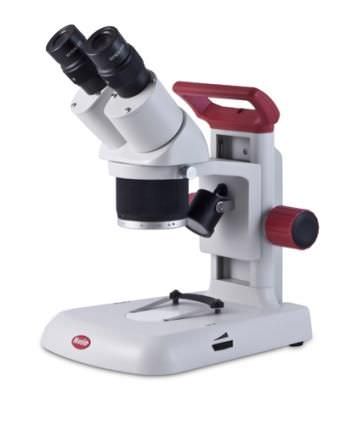 Teaching stereo microscope / binocular RED-STEREO Series Motic Europe