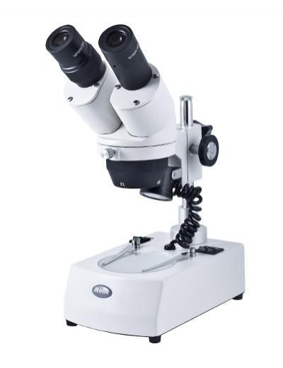 Teaching stereo microscope / binocular ST-30 Series Motic Europe