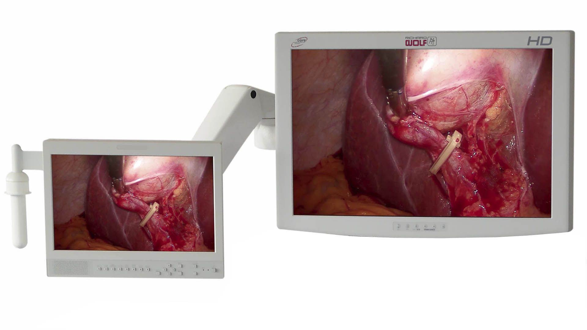 Full HD display / 3D / LED / endoscopy Richard Wolf