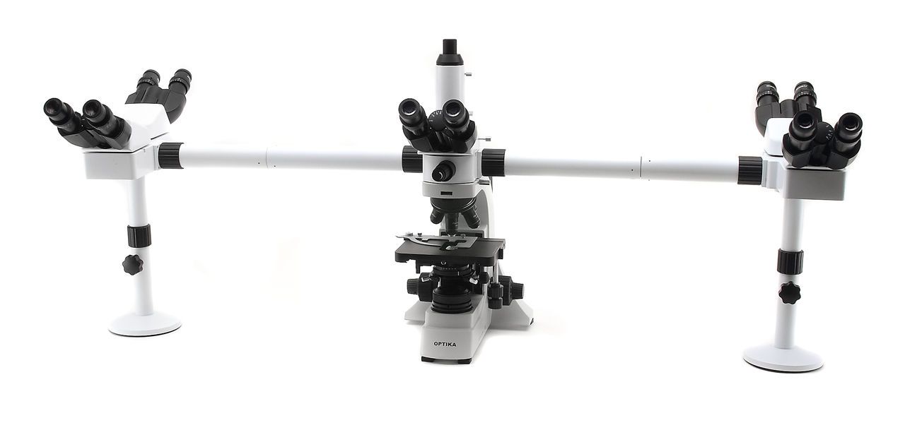 Laboratory microscope / LED / with discussion bridge 400x - 1000x | B-500Ti-5 Optika Italy