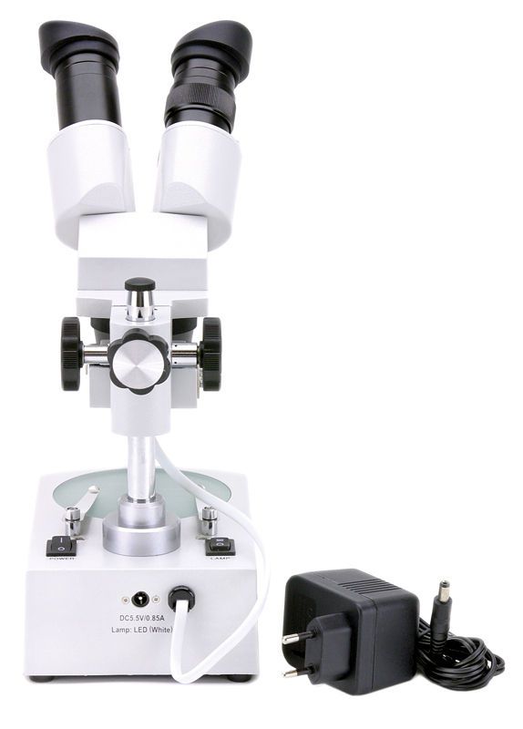 Teaching stereo microscope / binocular / LED 20x - 40x | ST-30-2Led Optika Italy