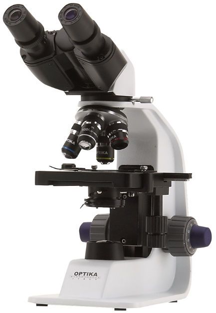 Teaching microscope / optical / binocular / LED 600x | B-157 Optika Italy