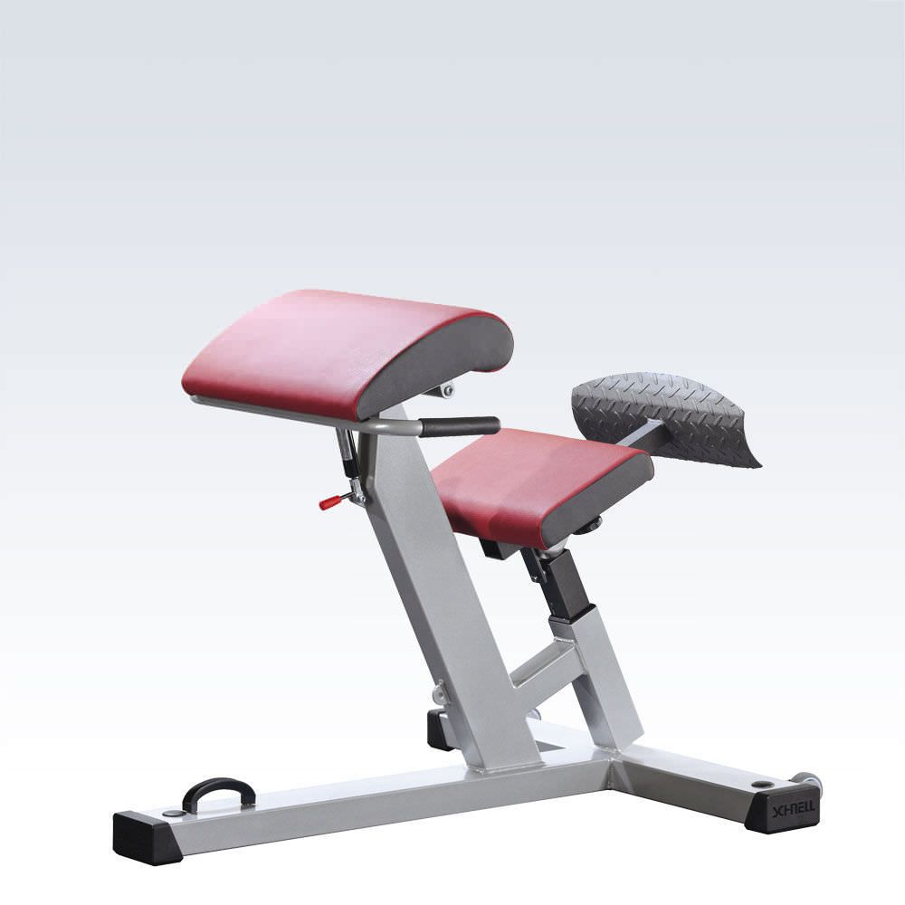 (weight training) / lumbar extension bench / rehabilitation / adjustable R6240 Schnell